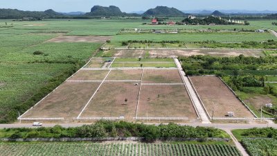 ที่ดิน 2 ไร่ 2 งาน ติดถนนทางหลวง ไร่ละ 550,000 บาท