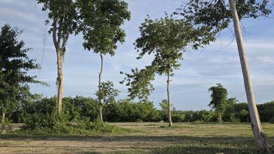 ที่ดินโฉนด ถนนกว้าง ใกล้รพ.และตลาดจอมบึง 10นาที เริ่มต้น 200 ตารางวา