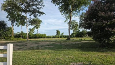 ที่ดินโฉนด ใกล้รพ.และตลาดจอมบึง 200 ตารางวา 490,000 บาท