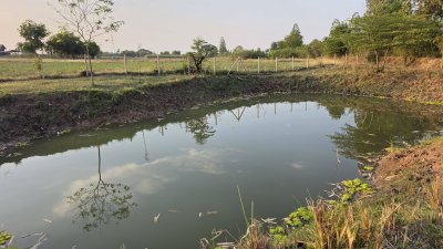 ท้ายติดห้วย หน้าติดถนนคอนกรีต มีสระน้ำออก 1 ลูก เลี้ยงปลา ใช้น้ำทำสวนได้