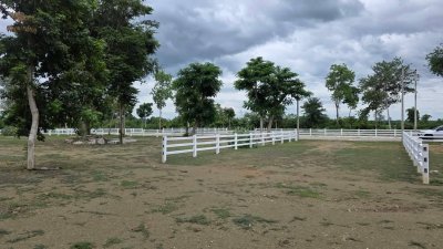 ที่ดินโฉนด ใกล้รพ.และตลาดจอมบึง 200 ตารางวา 490,000 บาท