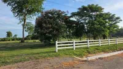 ที่ดินโฉนด ใกล้รพ.และตลาดจอมบึง 200 ตารางวา 490,000 บาท