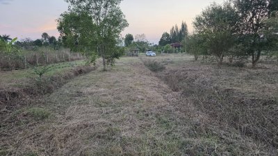 ขายที่ดินโฉนดครุฑแดง เนื้อที่ 2 ไร่ ราคา 1,100,000 บาท