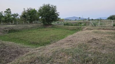 ขายที่ดินโฉนดครุฑแดง เนื้อที่ 2 ไร่ ราคา 1,100,000 บาท