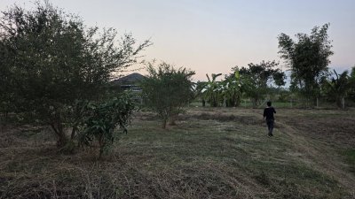 ขายที่ดินโฉนดครุฑแดง เนื้อที่ 2 ไร่ ราคา 1,100,000 บาท