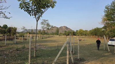 ท้ายติดห้วย หน้าติดถนนคอนกรีต มีสระน้ำออก 1 ลูก เลี้ยงปลา ใช้น้ำทำสวนได้