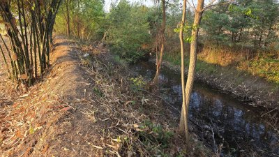 ท้ายติดห้วย หน้าติดถนนคอนกรีต มีสระน้ำออก 1 ลูก เลี้ยงปลา ใช้น้ำทำสวนได้