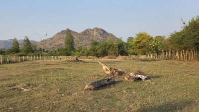 ท้ายติดห้วย หน้าติดถนนคอนกรีต มีสระน้ำออก 1 ลูก เลี้ยงปลา ใช้น้ำทำสวนได้