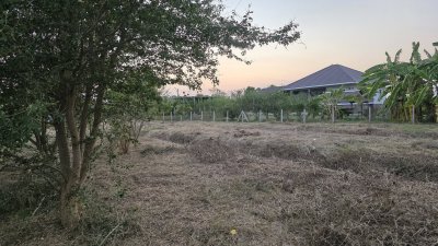 ขายที่ดินโฉนดครุฑแดง เนื้อที่ 2 ไร่ ราคา 1,100,000 บาท