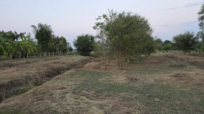 ขายที่ดินโฉนดครุฑแดง เนื้อที่ 2 ไร่ ราคา 1,100,000 บาท