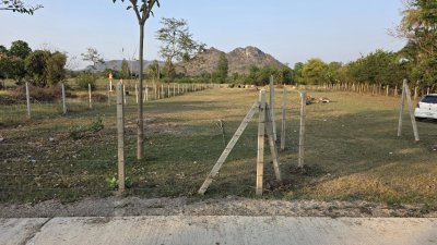 ท้ายติดห้วย หน้าติดถนนคอนกรีต มีสระน้ำออก 1 ลูก เลี้ยงปลา ใช้น้ำทำสวนได้