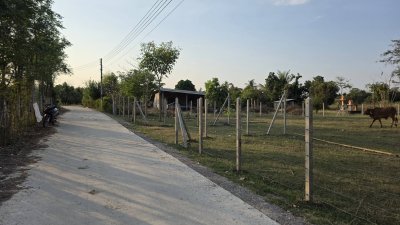 ท้ายติดห้วย หน้าติดถนนคอนกรีต มีสระน้ำออก 1 ลูก เลี้ยงปลา ใช้น้ำทำสวนได้