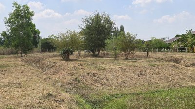 ขายที่ดินโฉนดครุฑแดง เนื้อที่ 2 ไร่ ราคา 1,100,000 บาท