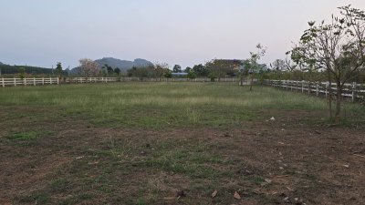 ที่ดิน 3ไร่ ติดถนน ทำเลค้าขาย ธุรกิจในอนาคต อ.โพธาราม จ.ราชบุรี