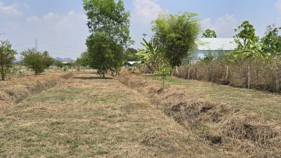 ขายที่ดินโฉนดครุฑแดง เนื้อที่ 2 ไร่ ราคา 1,100,000 บาท