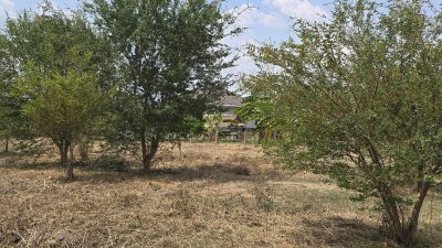 ขายที่ดินโฉนดครุฑแดง เนื้อที่ 2 ไร่ ราคา 1,100,000 บาท