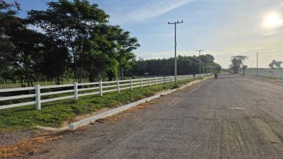 ที่ดินโฉนด ใกล้รพ.และตลาดจอมบึง 200 ตารางวา 490,000 บาท