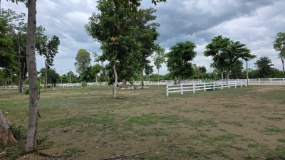 ที่ดินโฉนด ใกล้รพ.และตลาดจอมบึง 200 ตารางวา 490,000 บาท