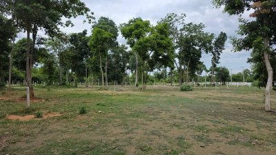 ที่ดินโฉนด ใกล้รพ.และตลาดจอมบึง 200 ตารางวา 490,000 บาท