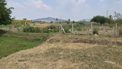 ขายที่ดินโฉนดครุฑแดง เนื้อที่ 2 ไร่ ราคา 1,100,000 บาท