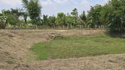 ขายที่ดินโฉนดครุฑแดง เนื้อที่ 2 ไร่ ราคา 1,100,000 บาท