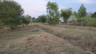 ขายที่ดินโฉนดครุฑแดง เนื้อที่ 2 ไร่ ราคา 1,100,000 บาท