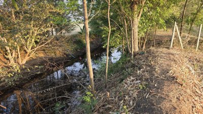 ท้ายติดห้วย หน้าติดถนนคอนกรีต มีสระน้ำออก 1 ลูก เลี้ยงปลา ใช้น้ำทำสวนได้