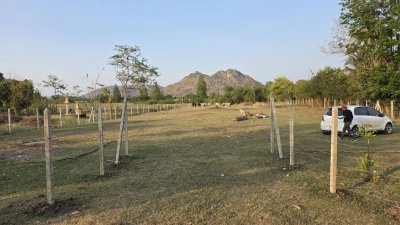 ท้ายติดห้วย หน้าติดถนนคอนกรีต มีสระน้ำออก 1 ลูก เลี้ยงปลา ใช้น้ำทำสวนได้