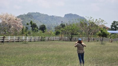 ที่ดิน 3ไร่ ติดถนน ใกล้โครงการพระราชดำริเขาชะงุ้ม