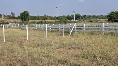 ที่ดินโฉนด 1 ไร่ ไม่มีประวัติน้ำท่วม เป็นเนินสูงกว่าถนนหลัก