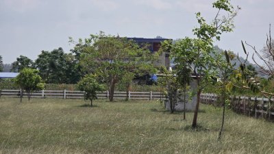 ที่ดิน 3ไร่ ติดถนน ใกล้โครงการพระราชดำริเขาชะงุ้ม