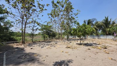 บ้านใต้ถุนสูง ติดถนนทางหลวงชนบท อ.โพธาราม จ.ราชบุรี