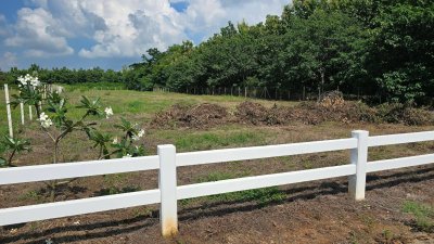 ที่ดินเหมาะทำเกษตร มีชุมชนเพื่อนบ้าน 2 ไร่ ไร่ละ 490,000 บาท