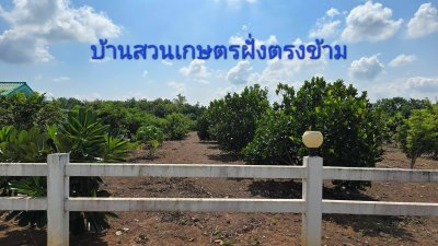 ที่ดินเหมาะทำเกษตร มีชุมชนเพื่อนบ้าน 2 ไร่ ไร่ละ 490,000 บาท