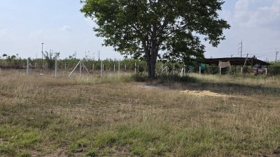 ที่ดินโฉนด 1 ไร่ ไม่มีประวัติน้ำท่วม เป็นเนินสูงกว่าถนนหลัก