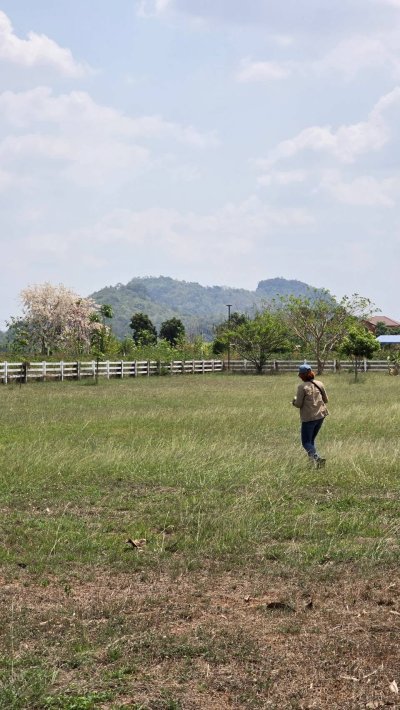 ที่ดิน 3ไร่ ติดถนน ใกล้โครงการพระราชดำริเขาชะงุ้ม