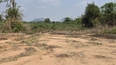 ที่ดินโฉนด 1ไร่ 2งาน ติดถนนลาดยาง ราคา 750,000บาท