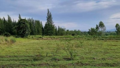 ขายที่ดิน10 ไร่ ไร่ละ 350,000 บาท นส3ก. (ครุฑเขียว)