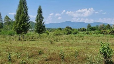 ขายที่ดิน10 ไร่ ไร่ละ 350,000 บาท นส3ก. (ครุฑเขียว)