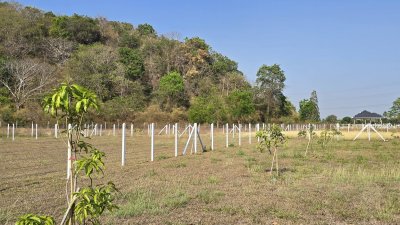 ที่ดินโฉนดติดเขา วิวเขาล้อม 1 ไร่ 1 งาน 1,290,000 บาท