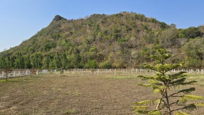 ที่ดินโฉนดติดเขา วิวเขาล้อม ต.เขาชะงุ้ม อ.โพธาราม จ.ราชบุรี