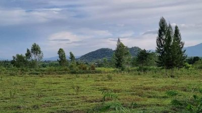 ขายที่ดิน10 ไร่ ไร่ละ 350,000 บาท นส3ก. (ครุฑเขียว)