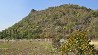 ที่ดินโฉนดติดเขา วิวเขาล้อม 1 ไร่ 1 งาน 1,290,000 บาท