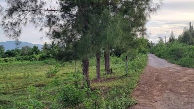 ขายที่ดิน10 ไร่ ไร่ละ 350,000 บาท นส3ก. (ครุฑเขียว)