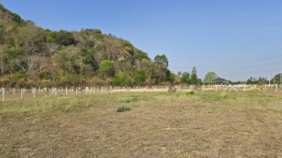 ที่ดินโฉนดติดเขา วิวเขาล้อม ต.เขาชะงุ้ม อ.โพธาราม จ.ราชบุรี