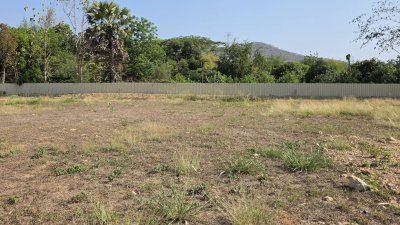 ที่ดินโฉนด วิวเขาโอบ 265 ตร.วา 690,000.- ฟรีโอน