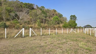 ที่ดินโฉนดติดเขา วิวเขาล้อม 1 ไร่ 1 งาน 1,290,000 บาท