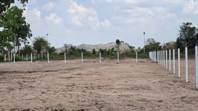 ที่ดินแบ่งขาย โครงการติดถนน 4 เลน ต.จอมบึง อ.จอมบึง จ.ราชบุรี