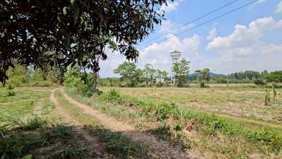 ที่ดินโฉนดพร้อมสิ่งปลูกสร้าง 2 ห้องนอน 1 ห้องน้ำ มีแหล่งน้ำการเกษตร