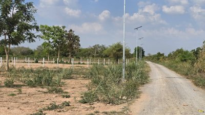 ที่ดินแบ่งขาย โครงการติดถนน 4 เลน เนื้อที่ 205 ตร.วา 850,000.-